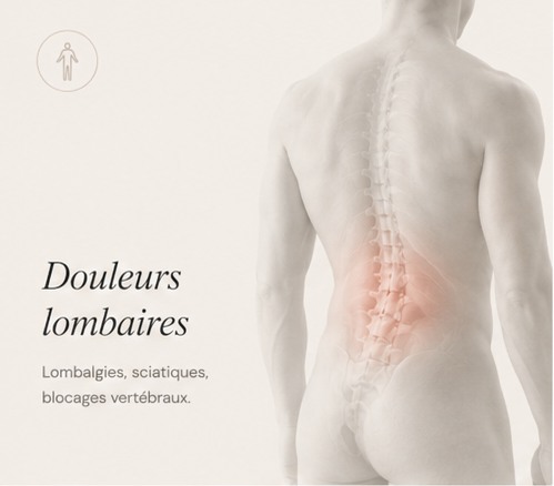 Anatomie disque intervertébral lombaire